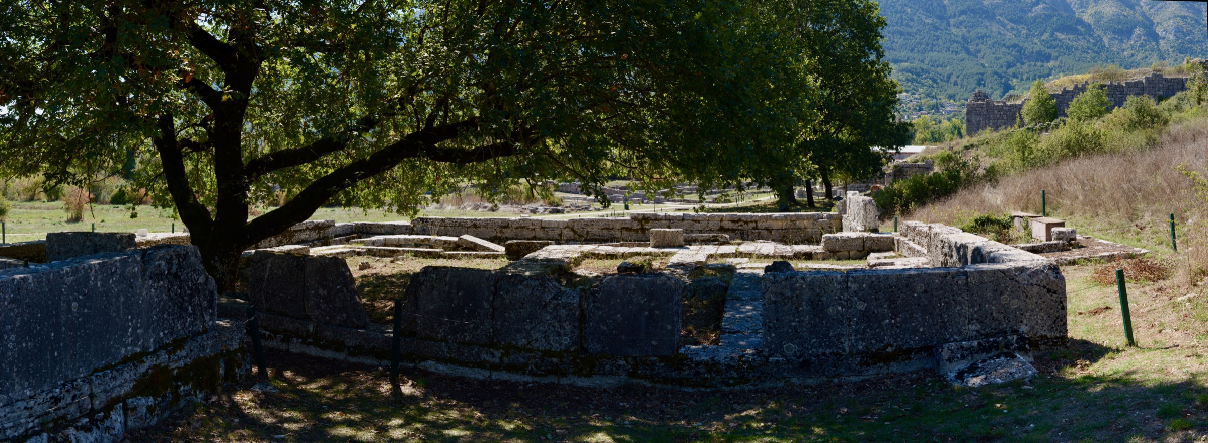 A large oak tree spreading over low stone foundations, with the mountains behind